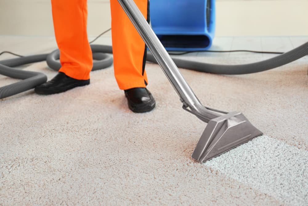 Carpet Cleaners Close to Me